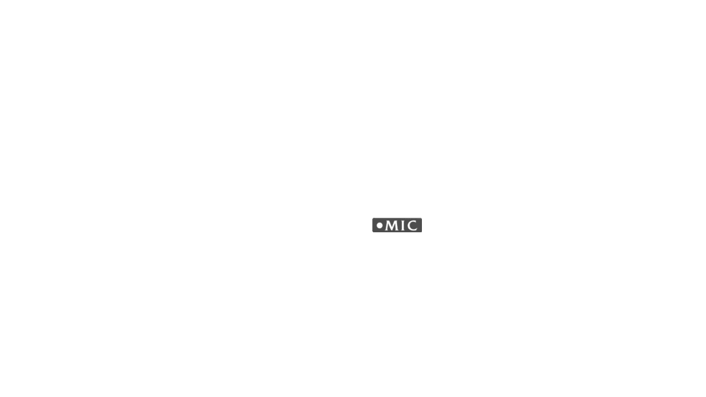 Main Mic